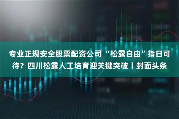 专业正规安全股票配资公司 “松露自由”指日可待？四川松露人工培育迎关键突破丨封面头条